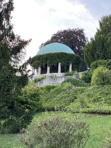 image31
