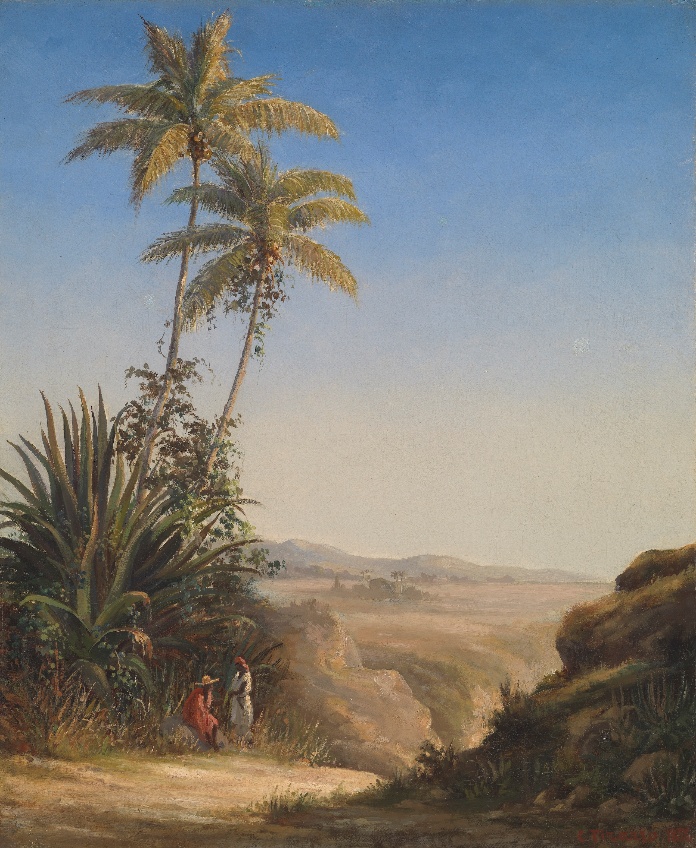 image6